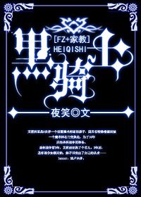 《(FZ+家教同人)黑骑士》