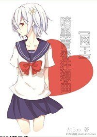 《(网王同人)暗黑青春狂想曲》