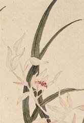《軟香》