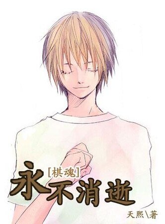 《(棋魂同人)永不消逝》