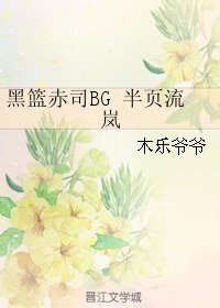 (BG/黑籃赤司)半頁流嵐