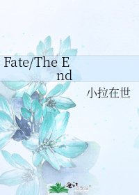 Fate/The End