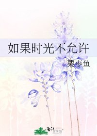 《如果时光不允许》