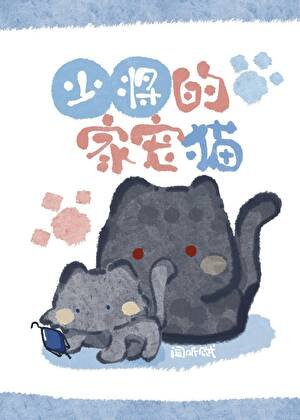 少将的家宠猫