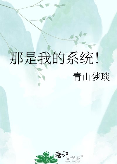 那是我的系统！