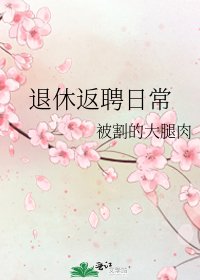 《退休返聘日常》