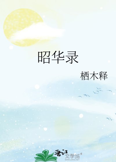 昭华录